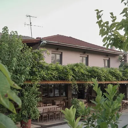 Arados Family カランバカ