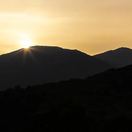 アパート Arados Family